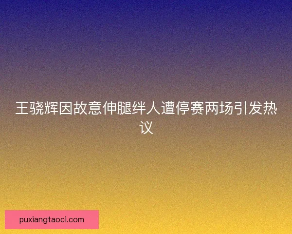 王骁辉因故意伸腿绊人遭停赛两场引发热议